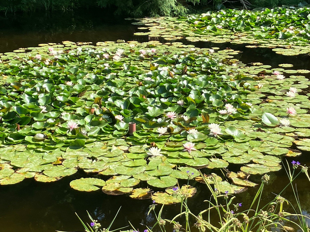 Botanical Garden-萨格勒布必去景点