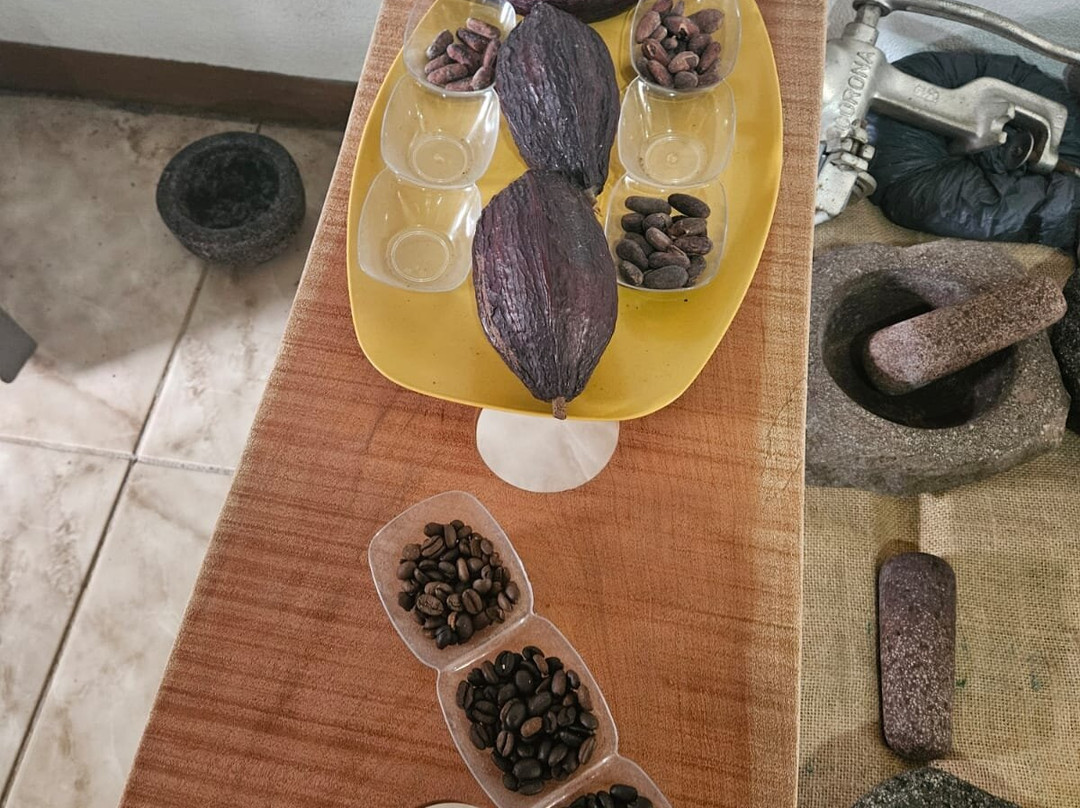 TIO JOSE COFFEE TOUR-葛雷西亚必去景点