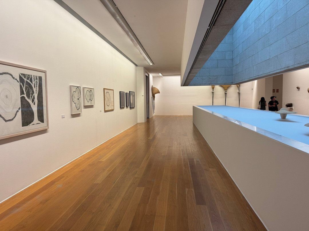 Museo de Arte Contemporanea-比戈必去景点