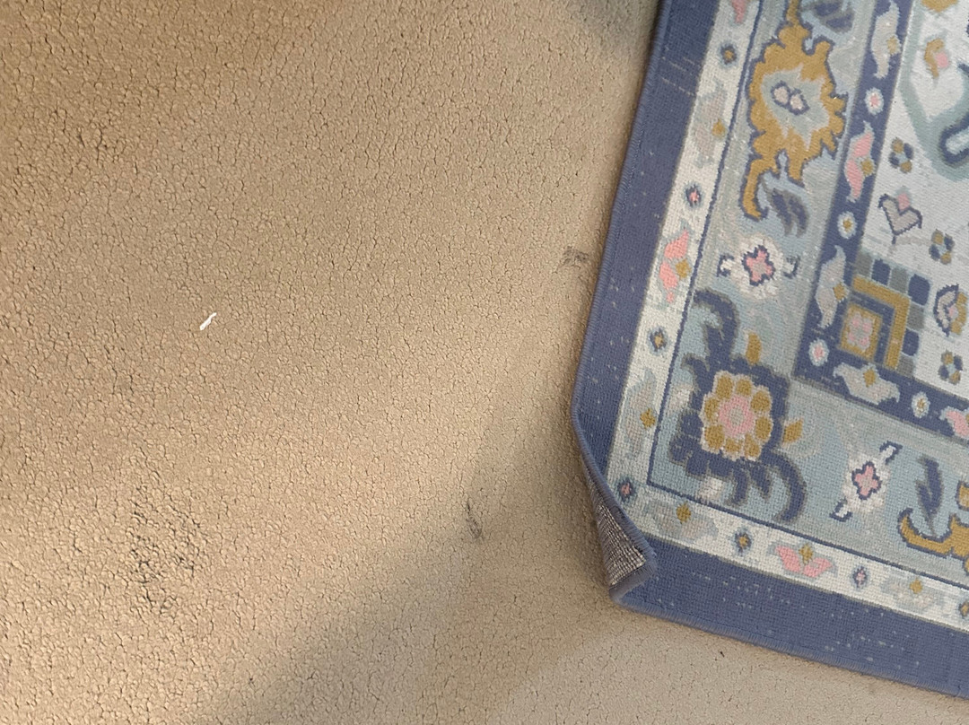 The Reluctant Panther Inn & Restaurant主图