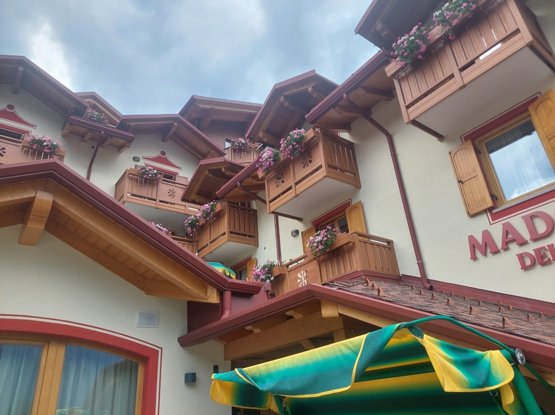 Wellness Hotel Madonna delle Nevi主图