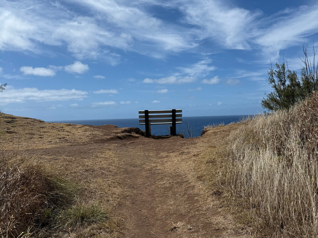 Ohai Loop Trail and Overlook-拉海纳必去景点