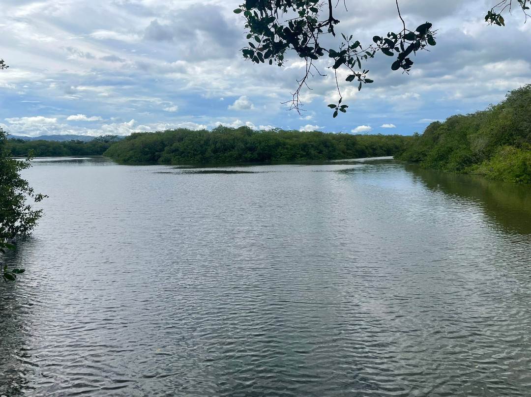 Santuario de Cocodrilos El Cora-Bucerias必去景点