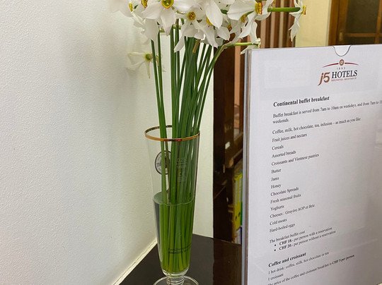 赫尔维提酒店主图