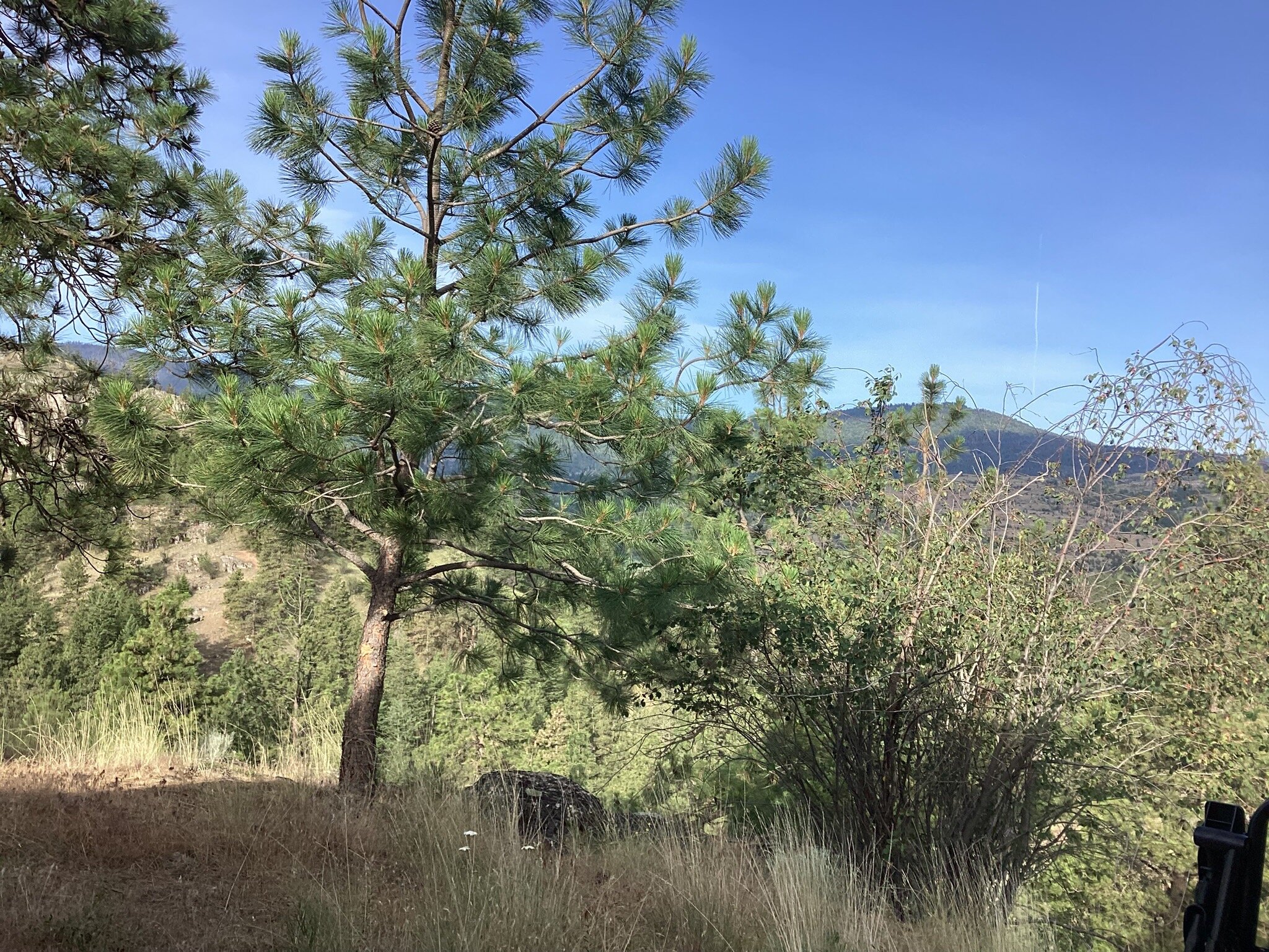 High Chaparral Guest House-官方