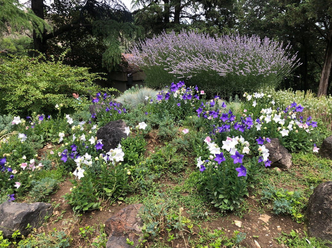 National Botanical Garden of Georgia-第比利斯必去景点