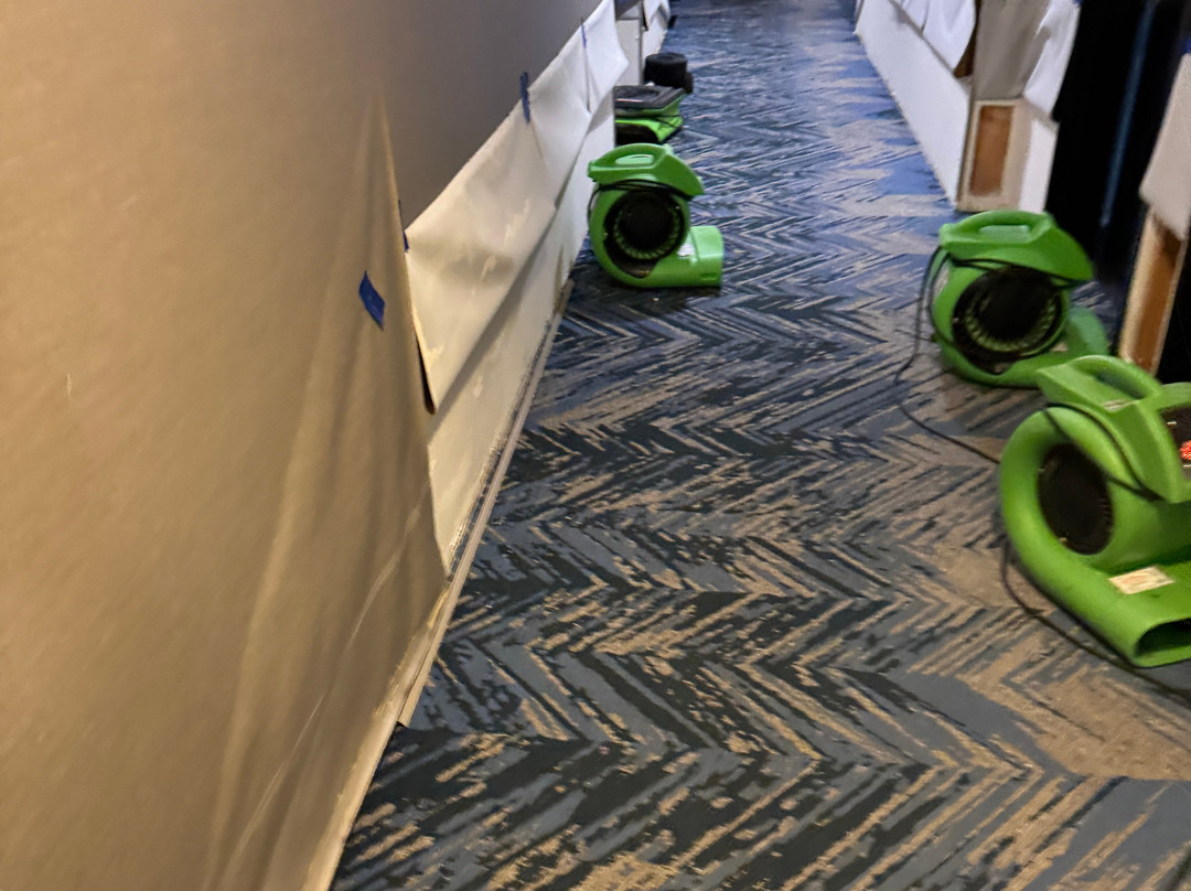 Cambria hotel & suites Minneapolis Maple Grove主图