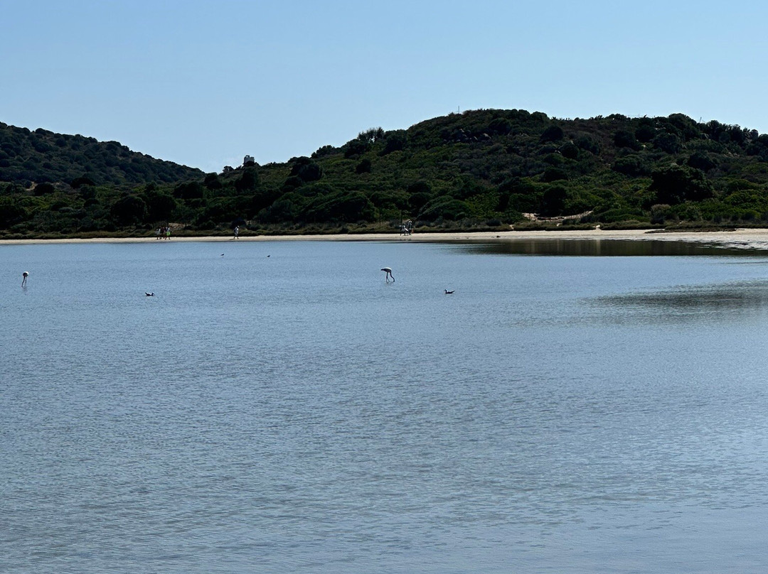 Spiaggia di Chia-Chia必去景点