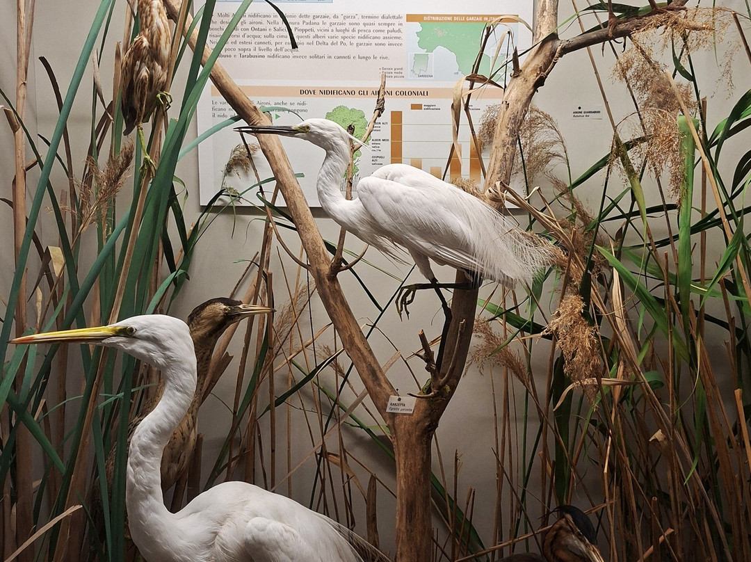Museo di Storia Naturale Faraggiana Ferrandi-诺瓦拉必去景点