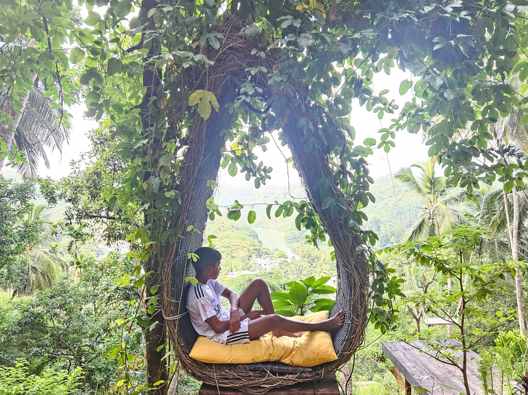 Kandy Swing Onchillah-Halloluwa必去景点