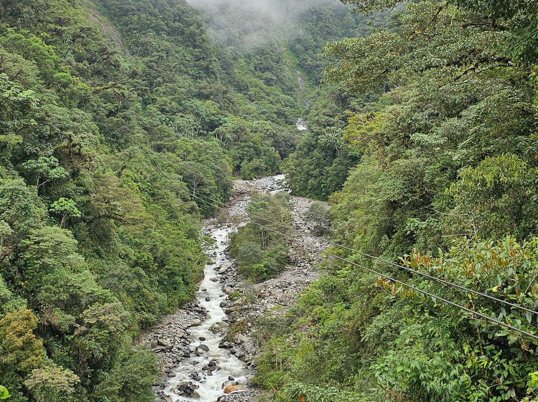 Puntzan Canopy-巴尼奥斯必去景点