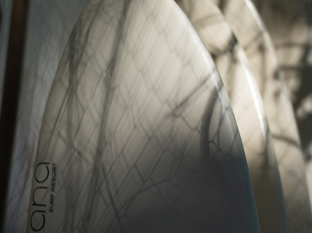 Moana Surf Resort主图