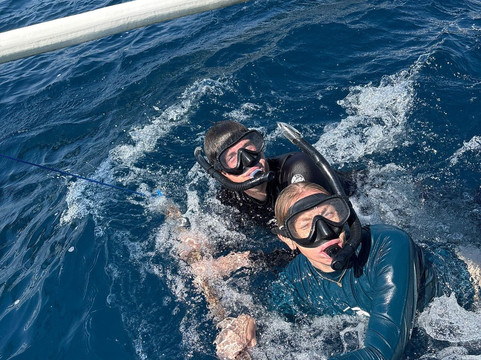 Dolphin Boat Lovina-罗威那海滩必去景点