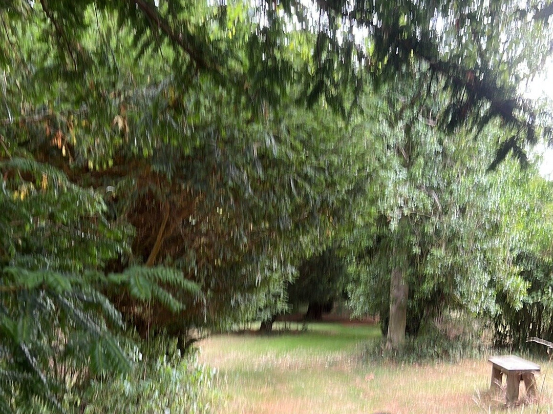 Wassand Hall-Seaton必去景点