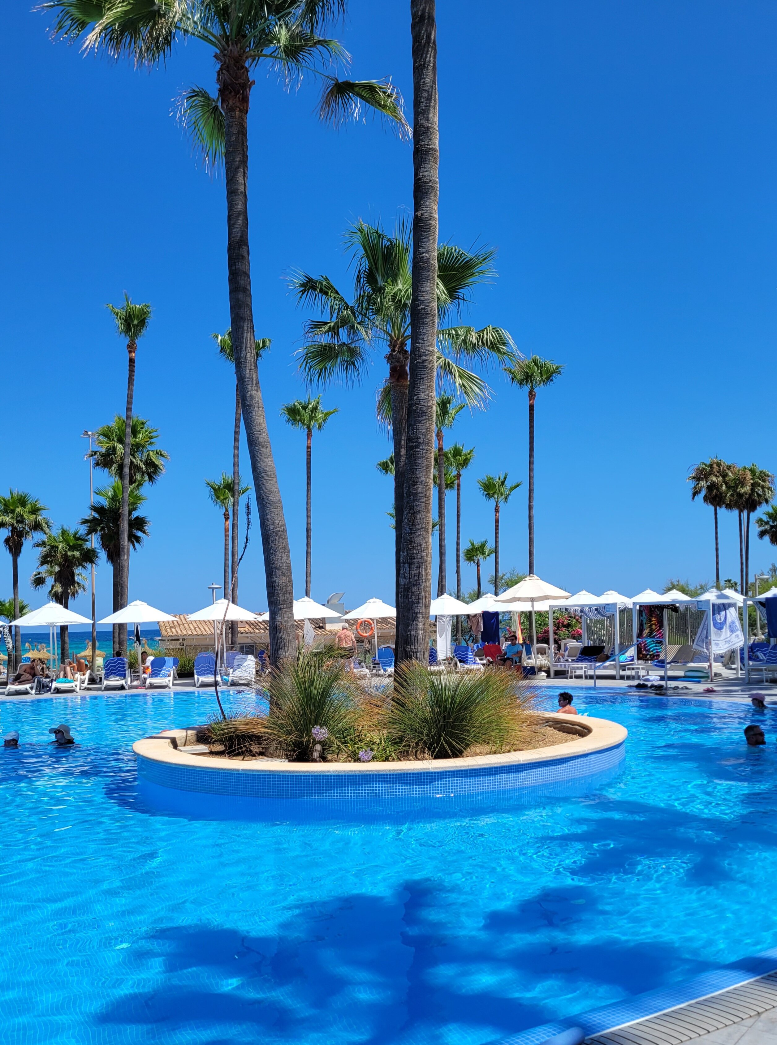 Hipotels Mediterráneo Hotel-泳池