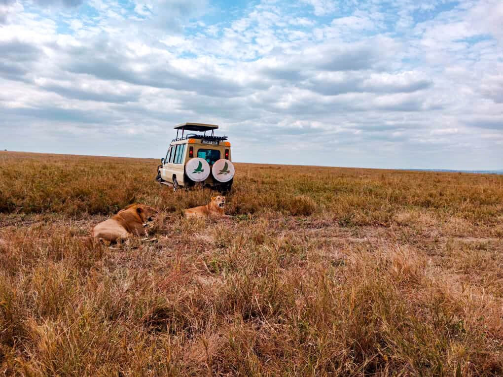 Livingstone Safari Tanzania-阿鲁沙必去景点