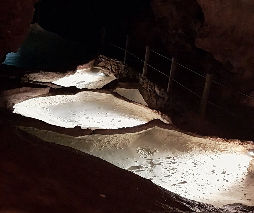 Grotte de Dargilan-Meyrueis必去景点