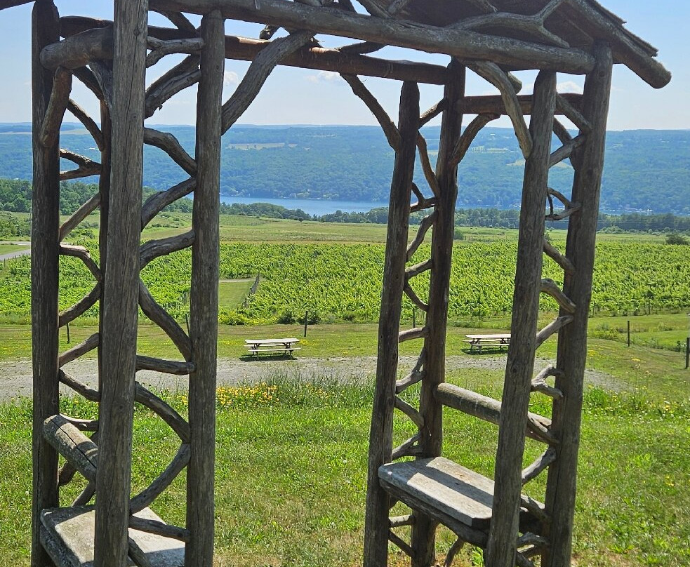 Heron Hill Winery-Hammondsport必去景点