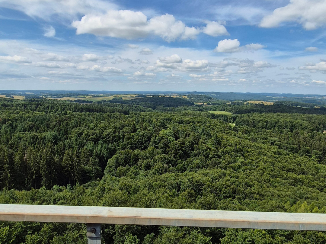 Landgasthof Hotel Hirsch im Grunen主图