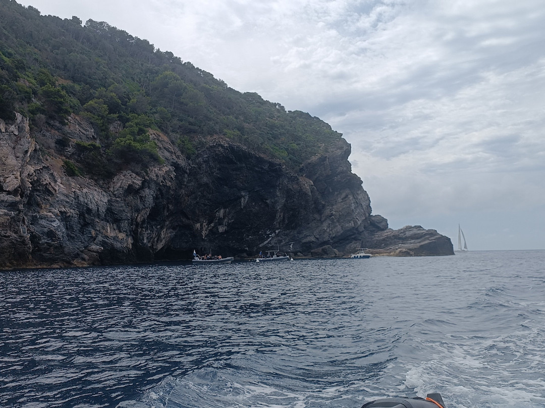 L'escapade En Mer-Carqueiranne必去景点