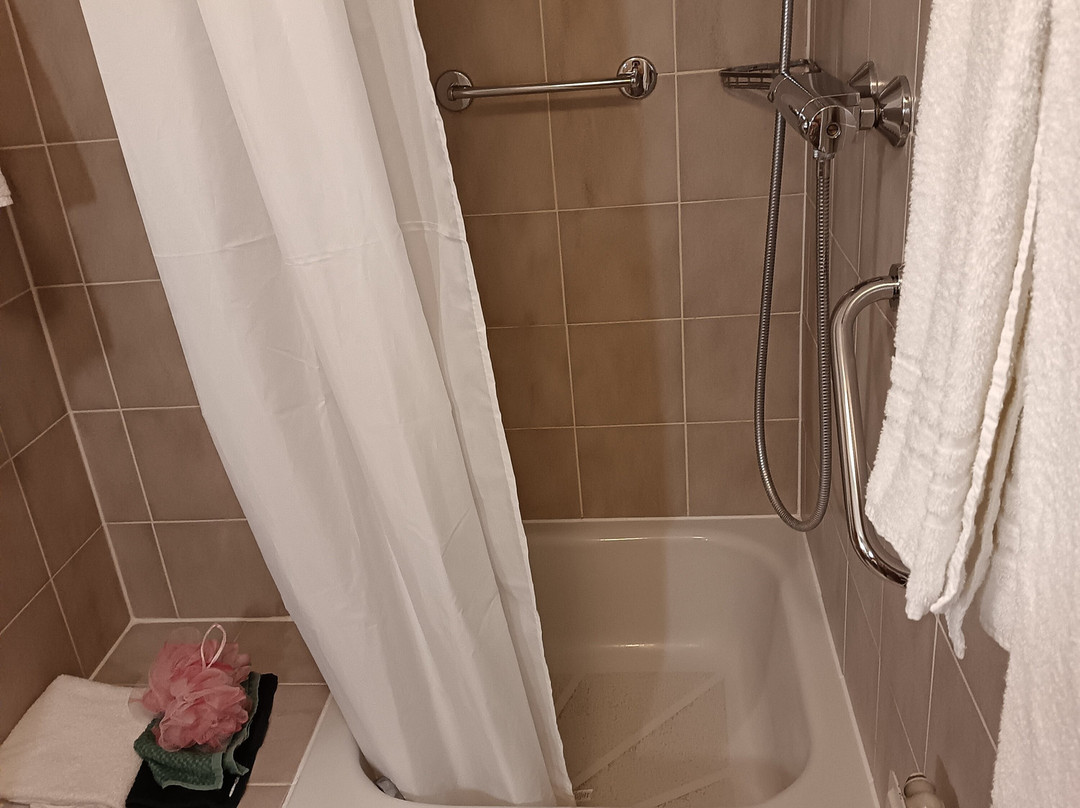 斯图加特假日酒店主图