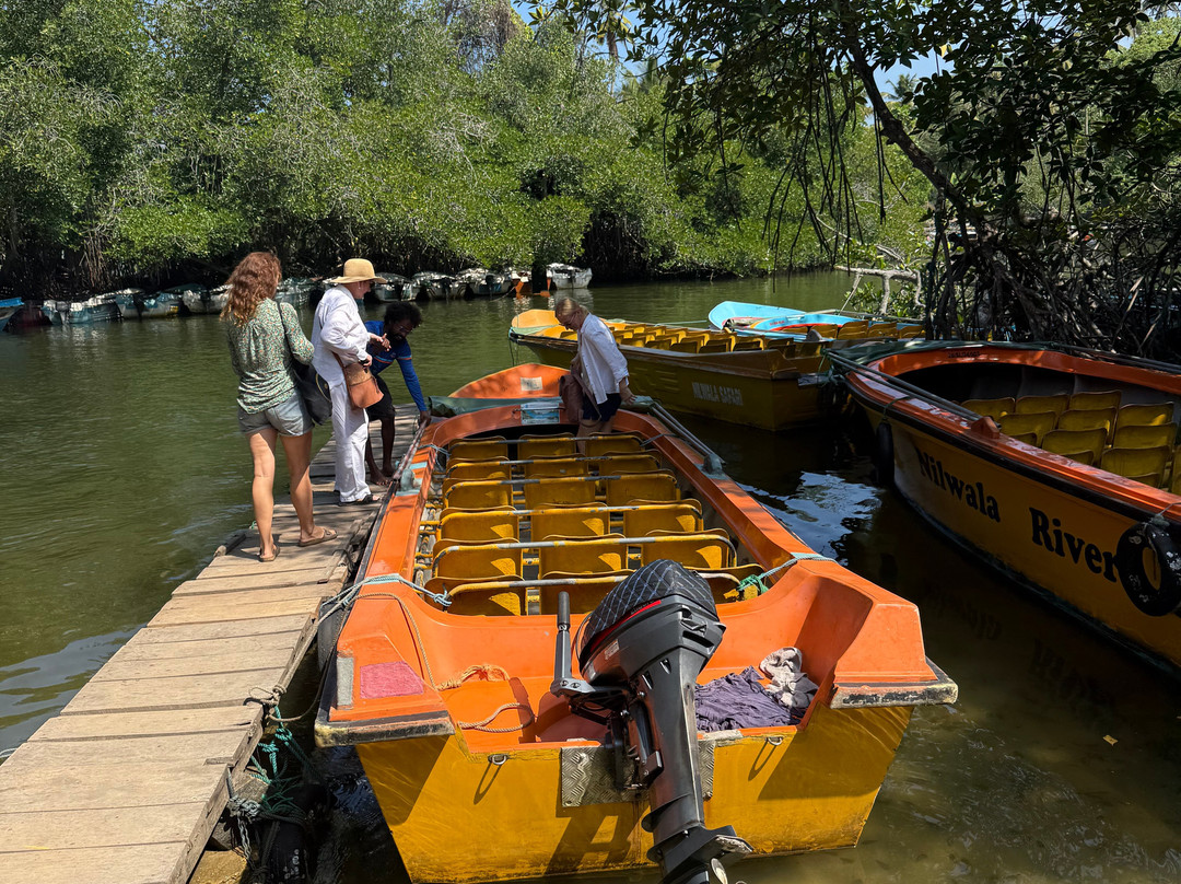 Vira Ceylon Tours & Travels-米迪加玛必去景点