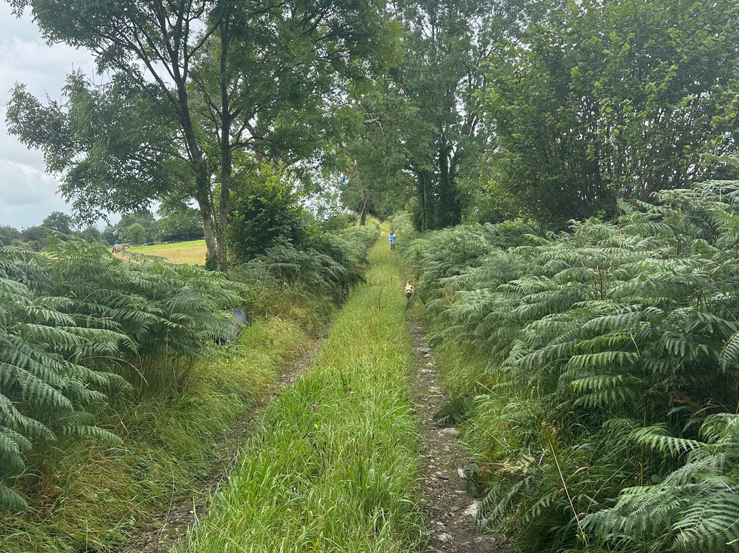 Rigney's Farmhouse Bed & Breakfast主图