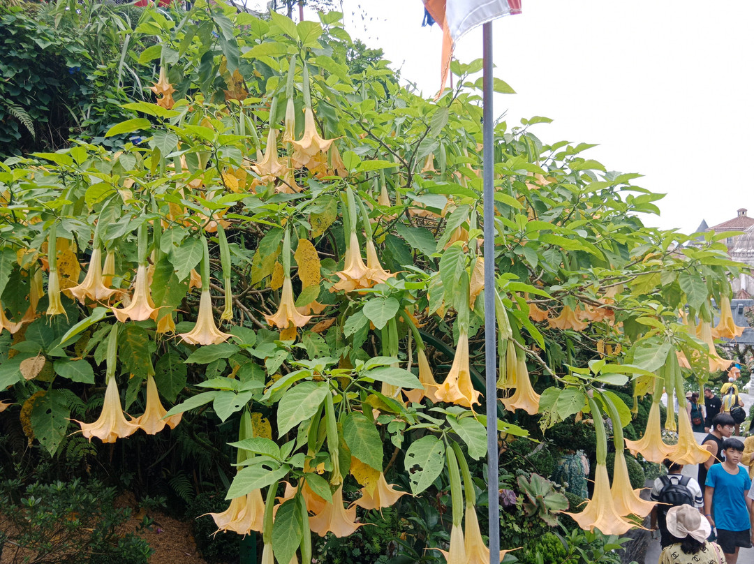 俄罗斯信息中心-芽庄必去景点