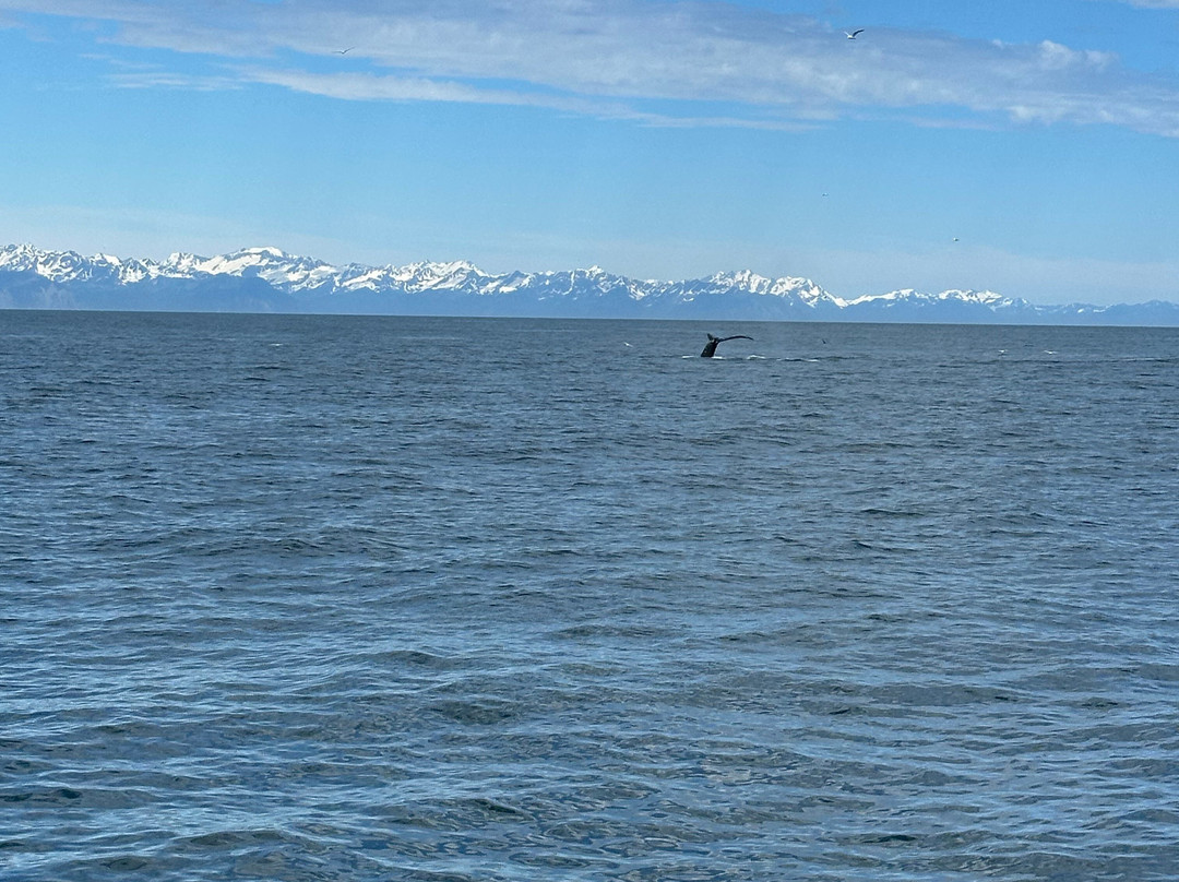 Crazy Rays Adventures-惠提尔必去景点