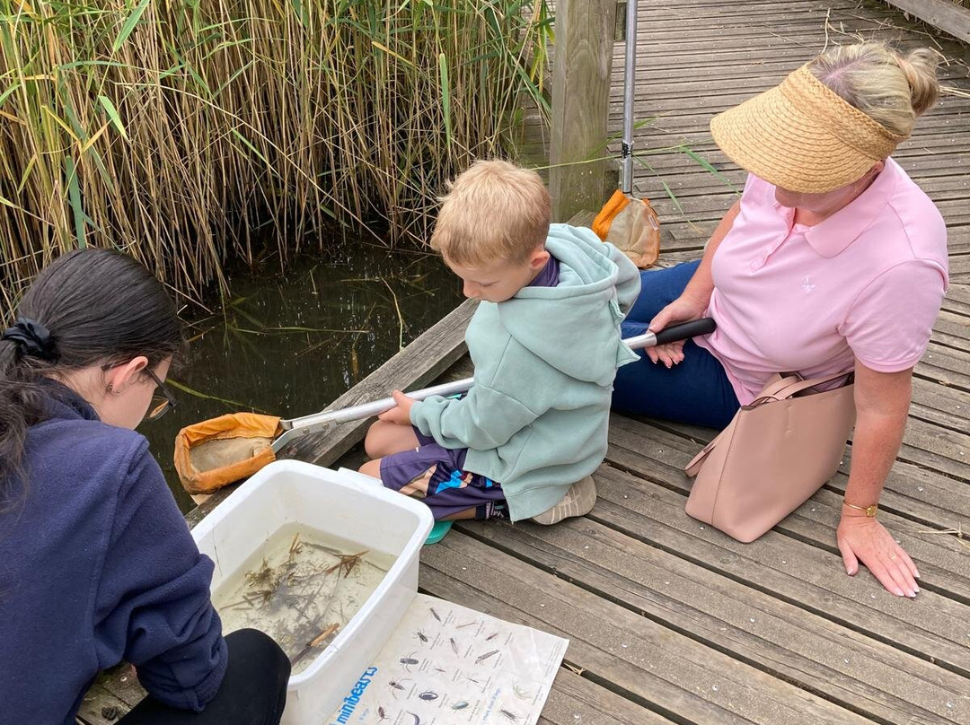 RSPB Saltholme-米德尔斯堡必去景点