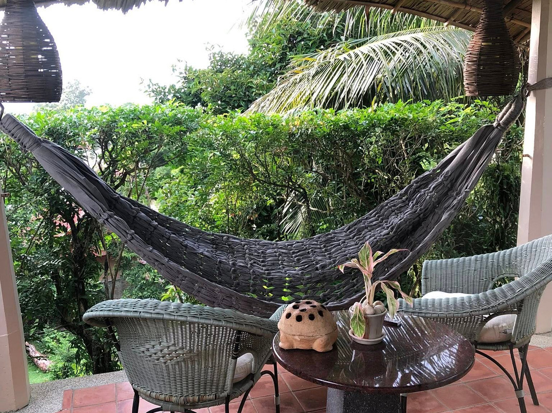 金色郁金香山竹温泉度假村主图