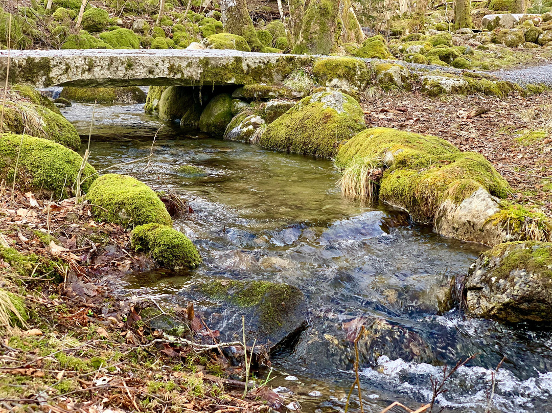 Steinparken-Rosendal必去景点