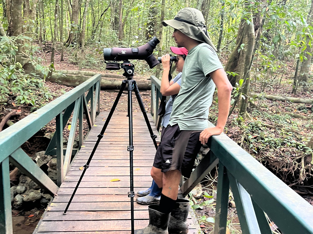 Corcovado Guia CR-希门尼斯港必去景点