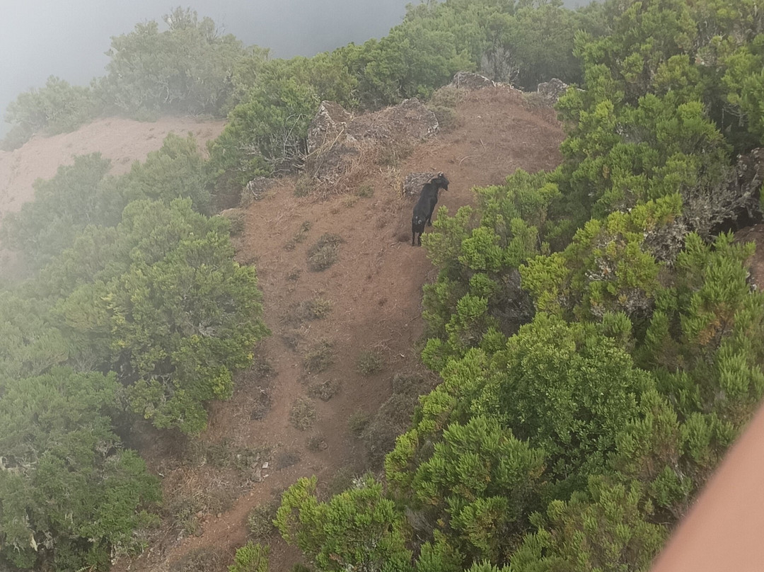 Mirador de Jinama-Frontera必去景点