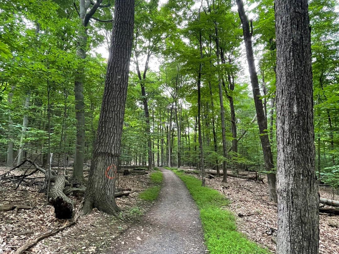 Parc National Du Mont St-bruno-蒙特利尔圣布鲁诺山必去景点