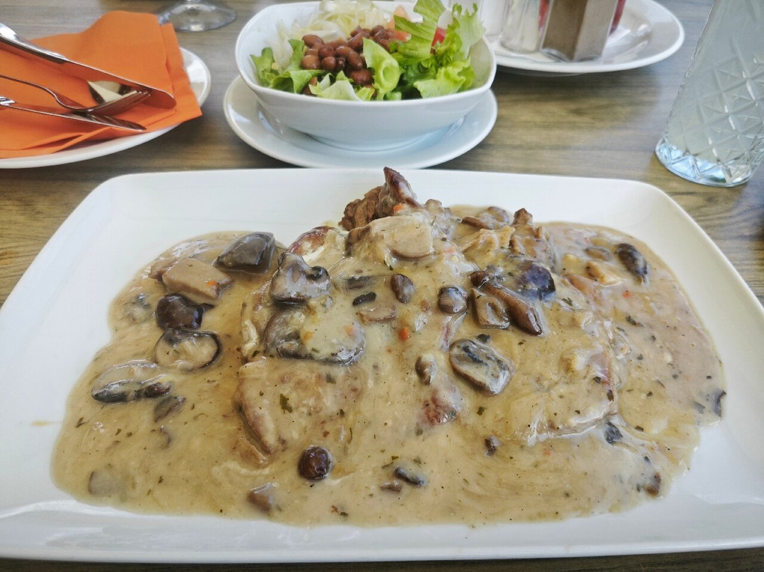 Crni Lug酒店住宿-Hotel Kovac Osilnica