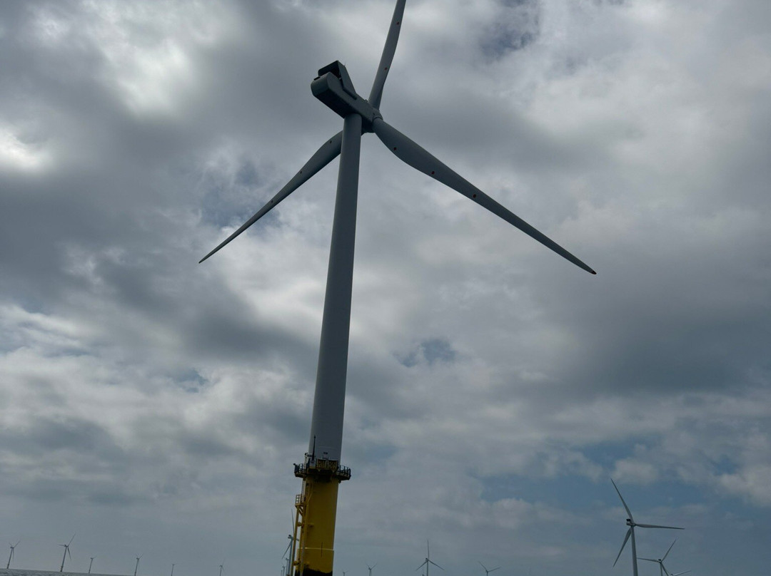 Sussex Boat Trips-Newhaven必去景点