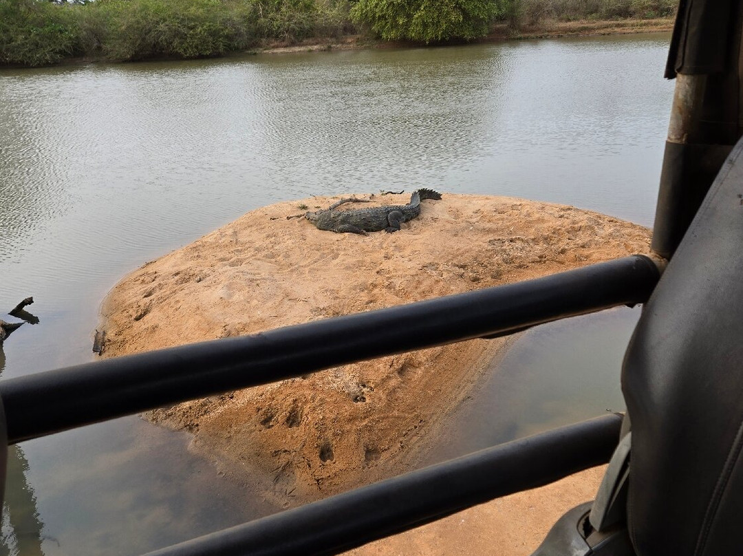 Sri Wild Yala Safari-蒂瑟默哈拉默必去景点
