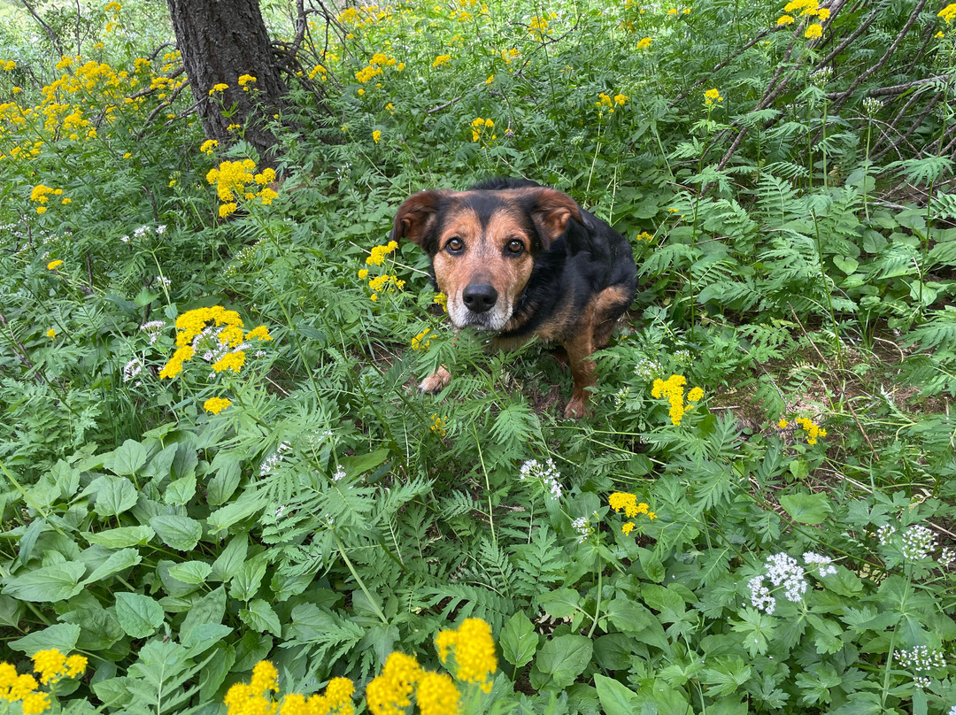 La Maison de Gaudissard主图