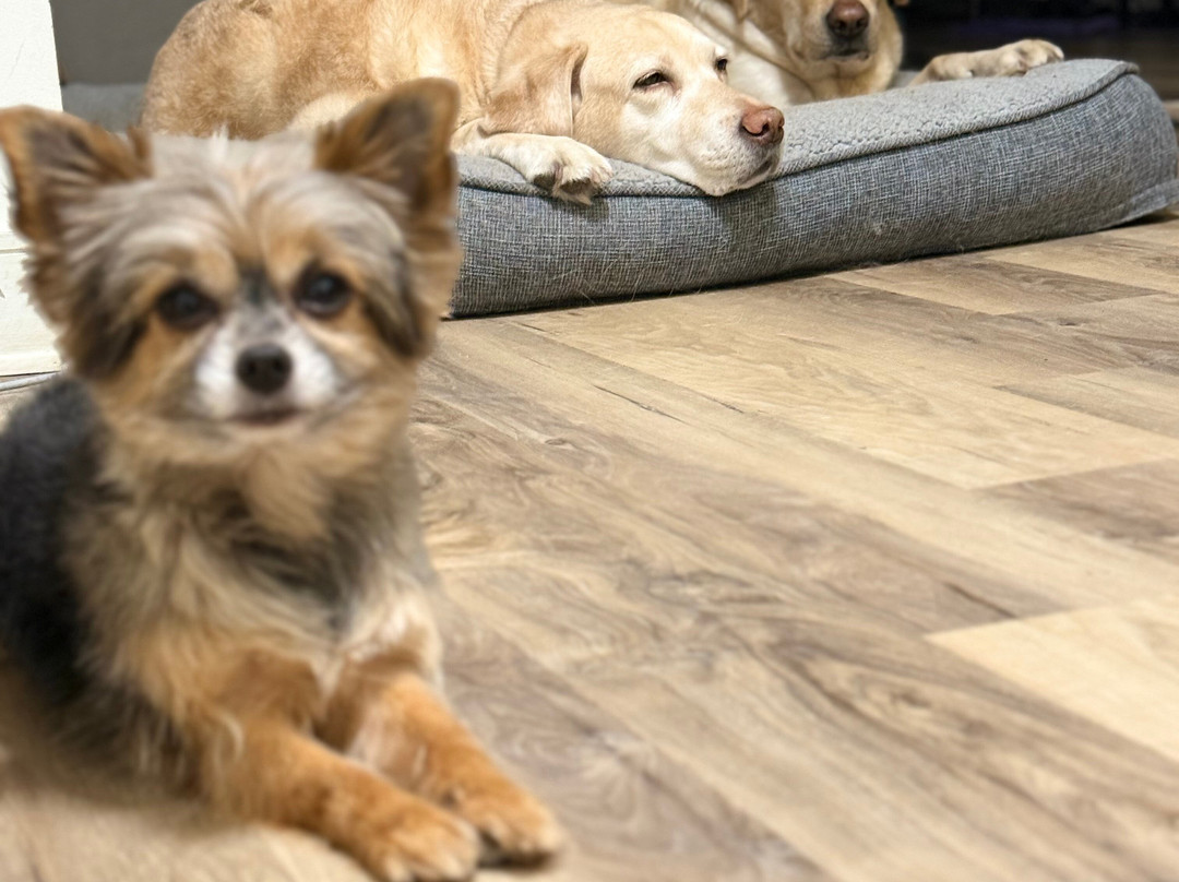 Hardscrabble Wilderness Area-Briarcliff Manor必去景点