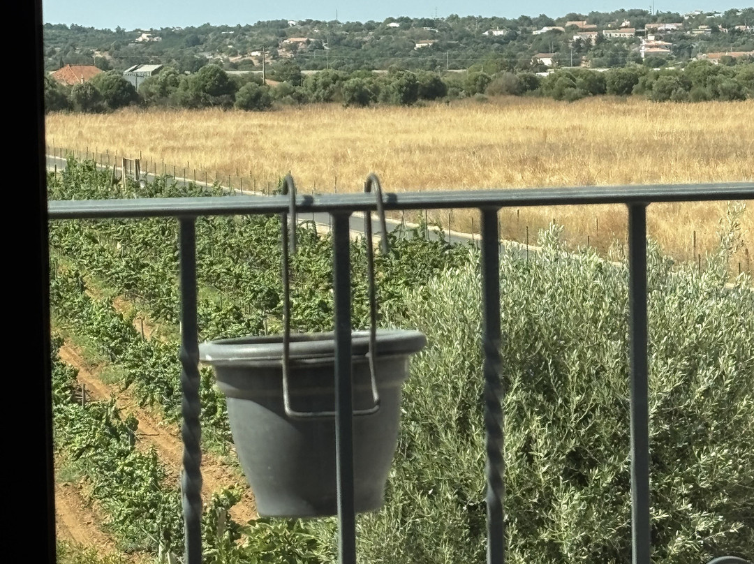 Cabrita Wines-Silves必去景点