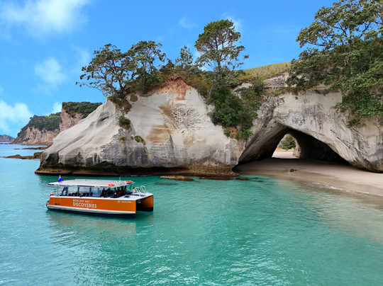Mercury Bay Discoveries - Cathedral Cove & Coastal Tour-菲蒂昂格必去景点