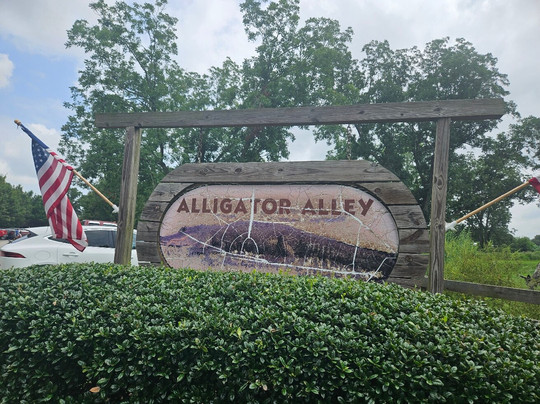 Alligator Alley-Summerdale必去景点