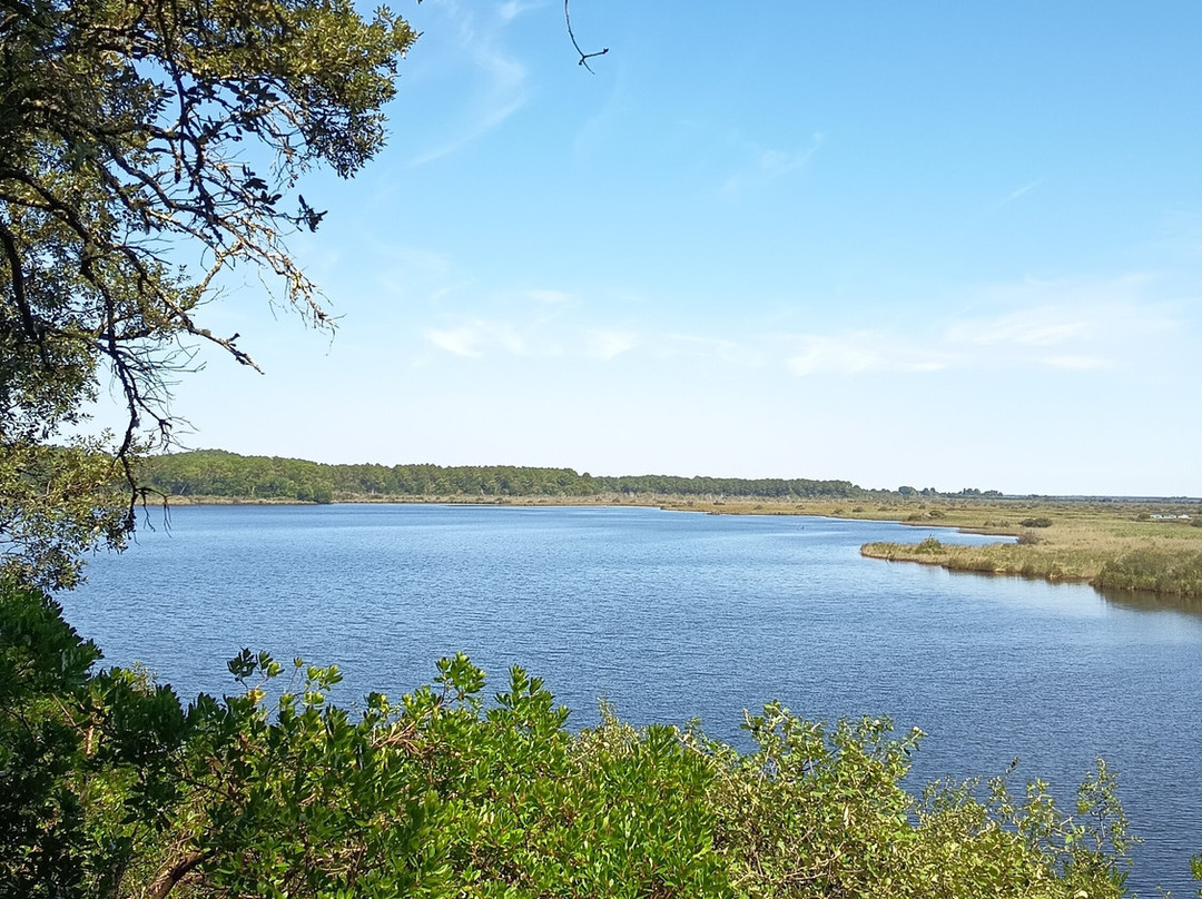 Réserve Naturelle De l'Etang De Cousseau-Lacanau-Ocean必去景点