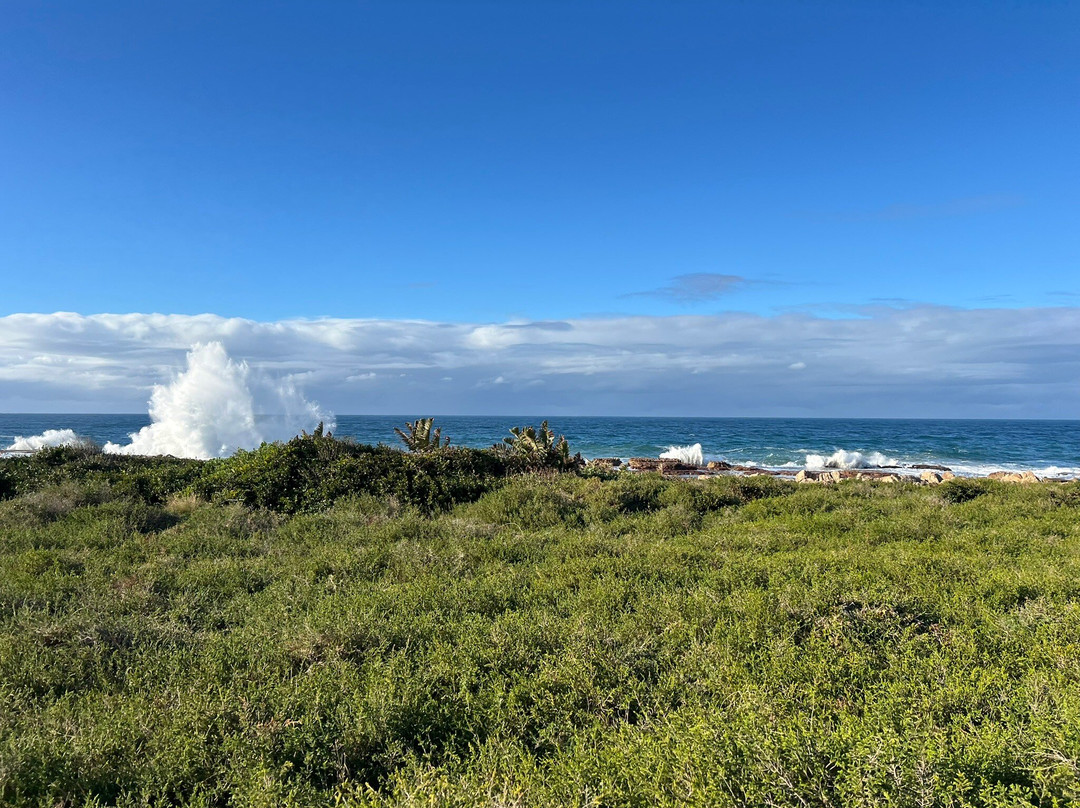 Wild Child Africa-彼得马里茨堡必去景点