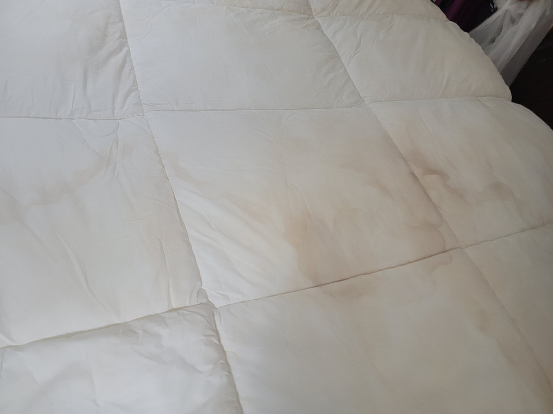 卢皮塔悦宜湾酒店主图