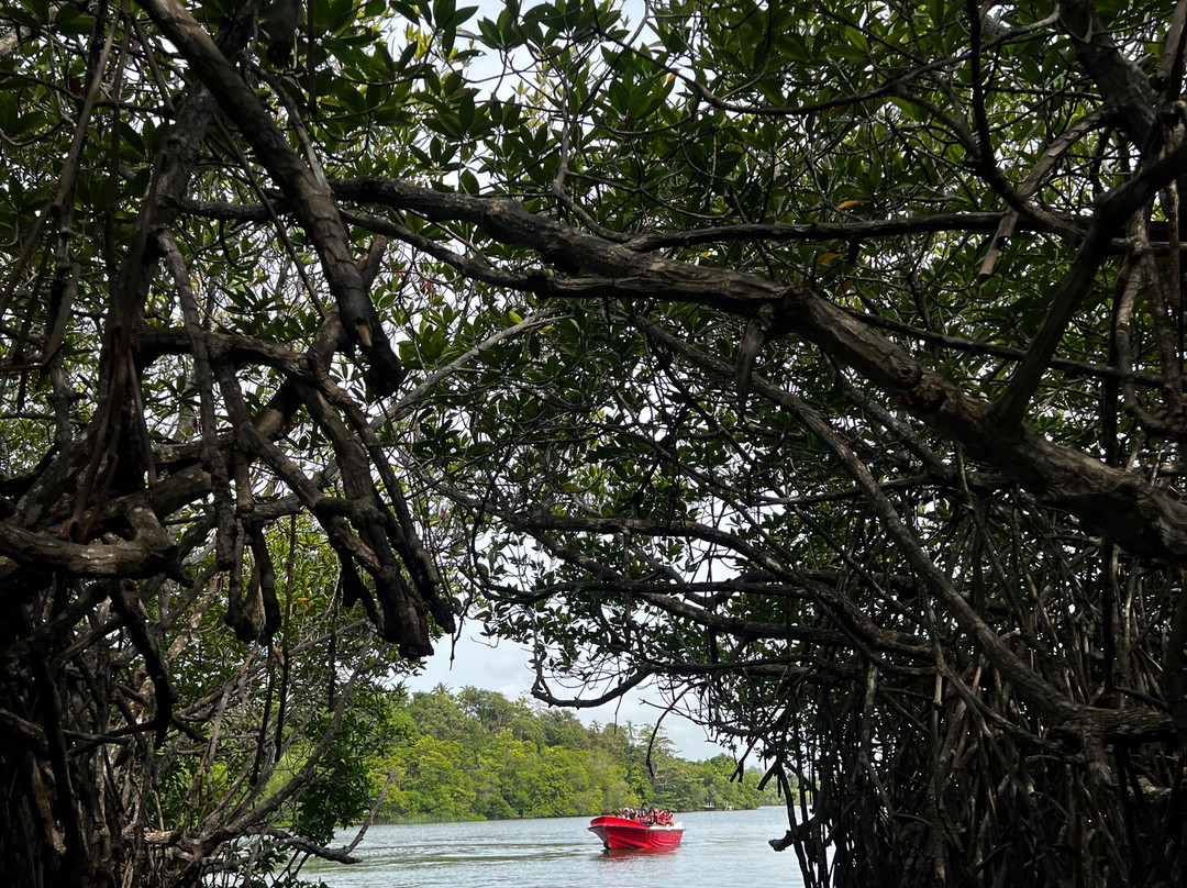 Revival Ceylon Tours-Kuliyapitiya必去景点