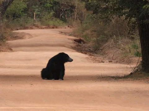 RS tour and cads-卡图纳耶克必去景点