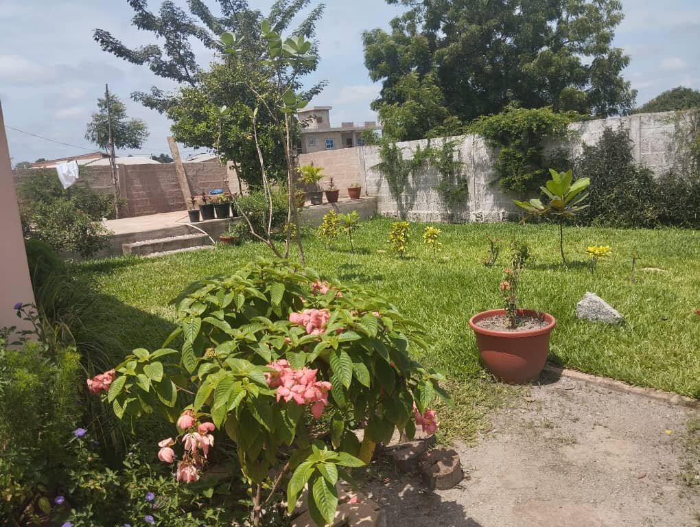 Café Restaurant Nasuba Food