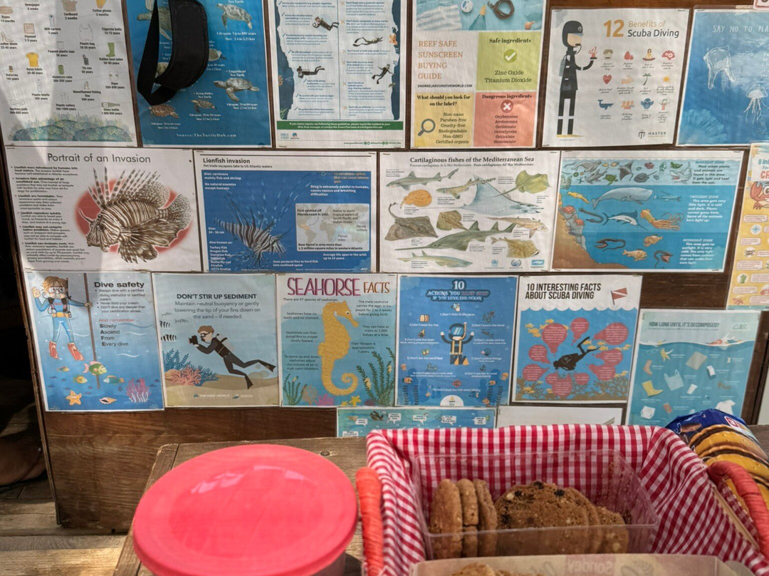 H2O Diving Center-Ladiko必去景点